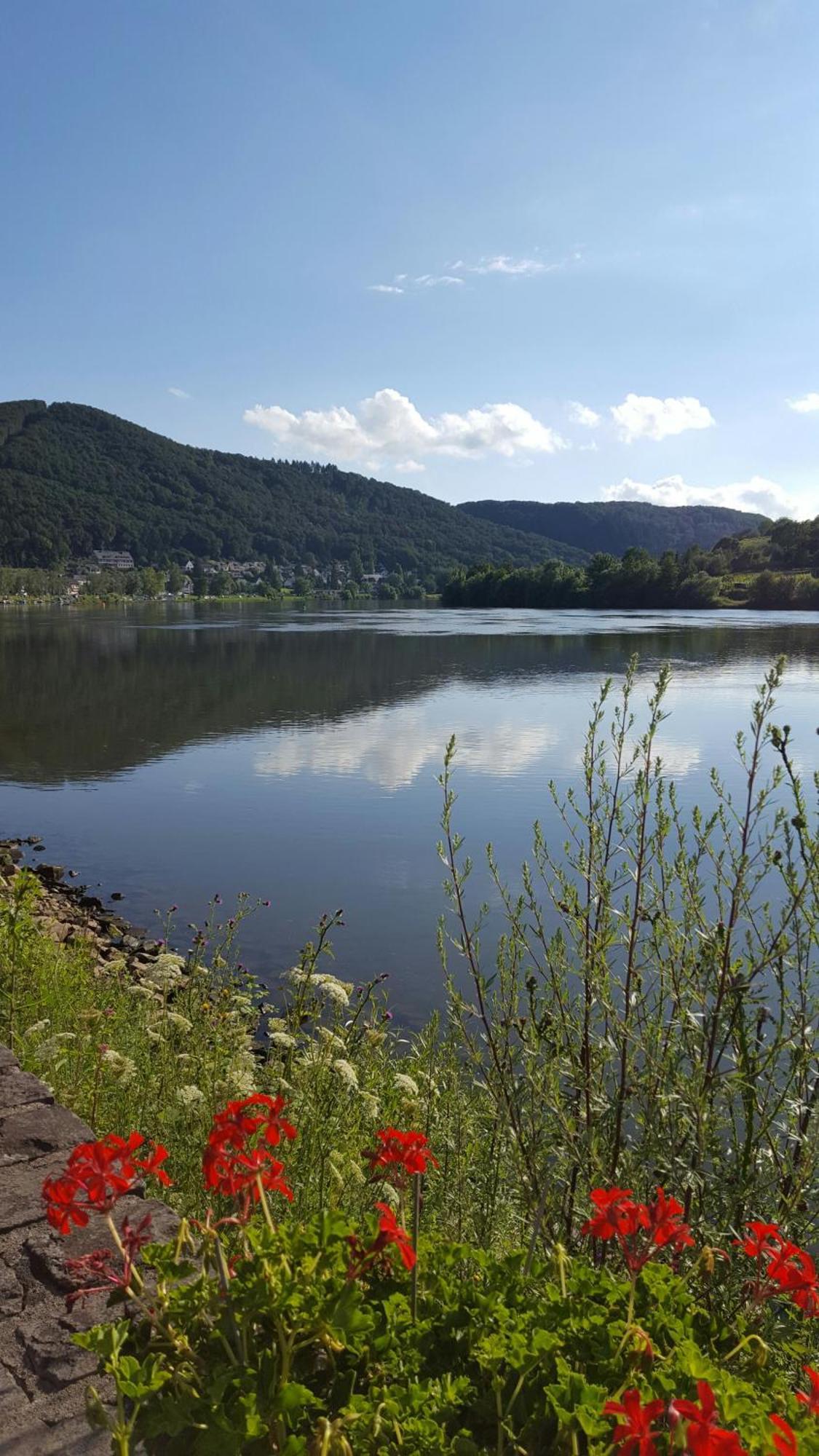 Appartamento Landhof Sonne Sabershausen